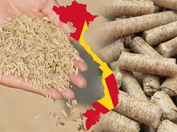 طرح توجیهی تولید زغال از سبوس برنج